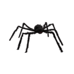 Araignée Géante Poilue Noire 100 cm – Halloween
