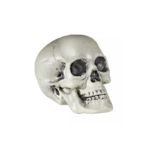Crâne 21 cm – Décoration Halloween
