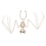 Squelette d’Animal – Décoration Halloween Effrayante – Image 6