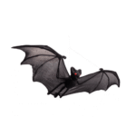 Chauve-Souris 55 cm – Décoration Halloween