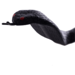 Serpent Halloween 50 cm – Décoration Effrayante – Image 2