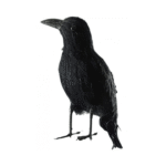 Corbeau en Plumes 22 cm – Décoration Halloween