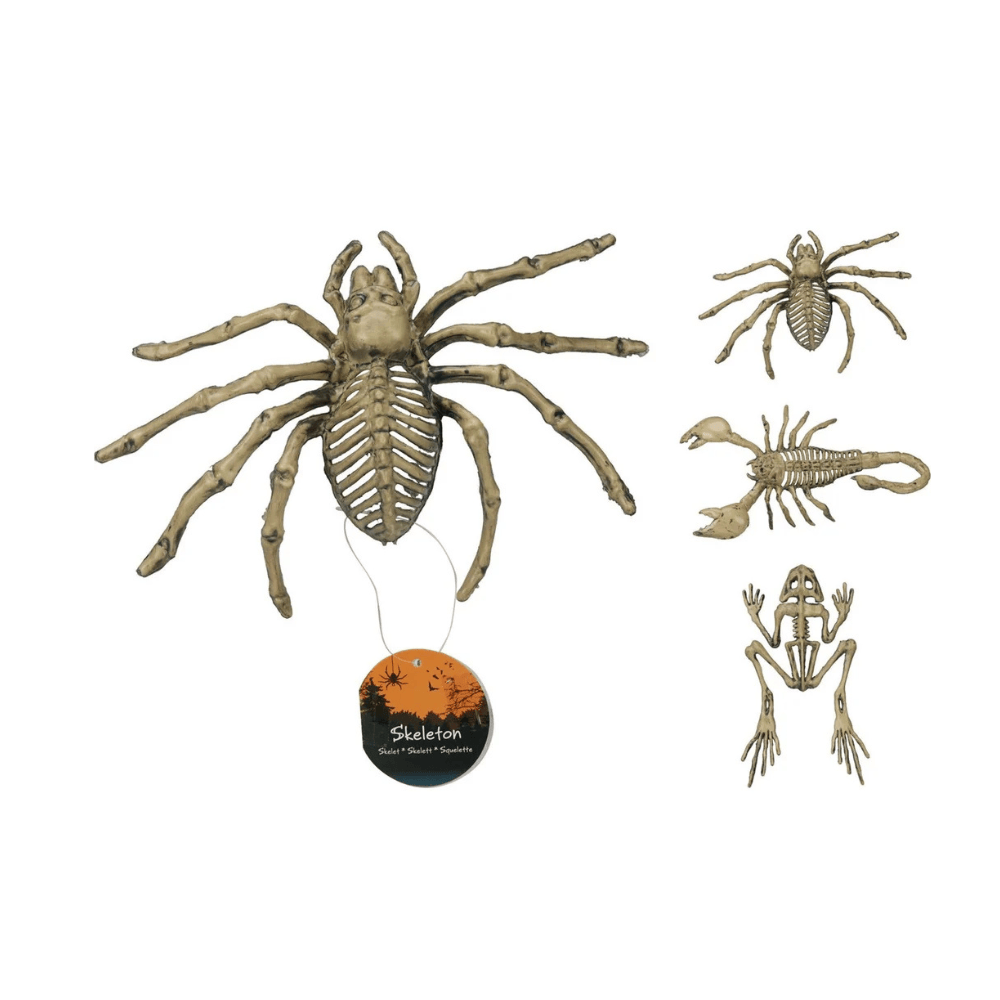 alpha-55-creature-squelette-3-assortiments-decoration-halloween-1257123077.png Créature Squelette – Décoration Halloween – Image 1