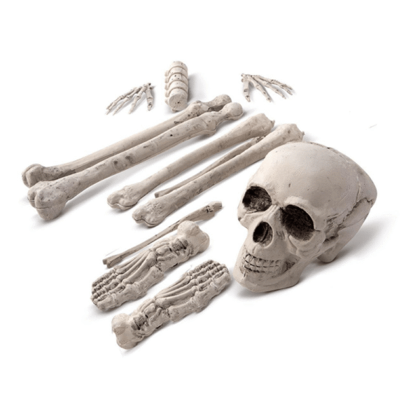 Lot de 12 Os – Décoration Halloween