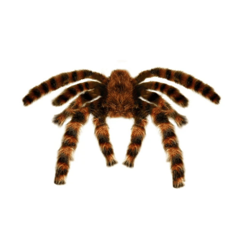 alpha-55-marron-araignee-poilue-marron-65-cm-deco-halloween-1255881344.png Araignée Poilue Marron 65 cm – Déco Halloween – Image 1