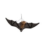 Chauve-Souris Poilue 40 cm – Décoration Halloween
