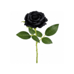 Rose Noire 50 cm – Décoration Halloween