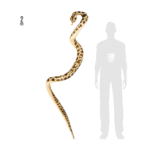 Serpent en Tissu 200 cm – Décoration Halloween – Image 2