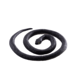 Serpent Halloween 70 cm – Décoration Effrayante