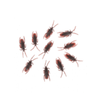 Set de 10 Cafards 7 cm – Décoration Halloween
