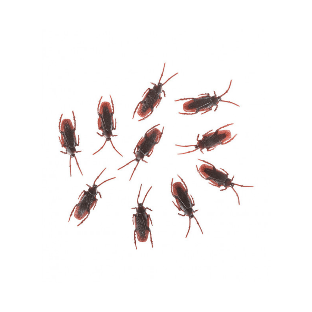alpha-55-set-de-10-cafards-7-cm-decoration-halloween-1256100399.png Set de 10 Cafards 7 cm – Décoration Halloween – Image 1