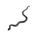 Set de 12 Serpents 13 cm – Décoration Halloween – Image 2