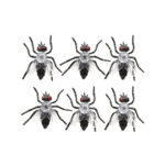 Set de 6 Mouches 5,5 cm – Décoration Halloween