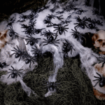 Set de 60 Araignées 3,5 cm – Décoration Halloween – Image 3