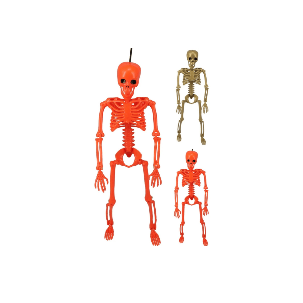alpha-55-squelette-40-cm-2-assortiments-decoration-halloween-1257510063.png Squelette 40 cm – Décoration Halloween – Image 1