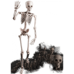 Squelette Articulé 160 cm – Décoration Halloween – Image 2