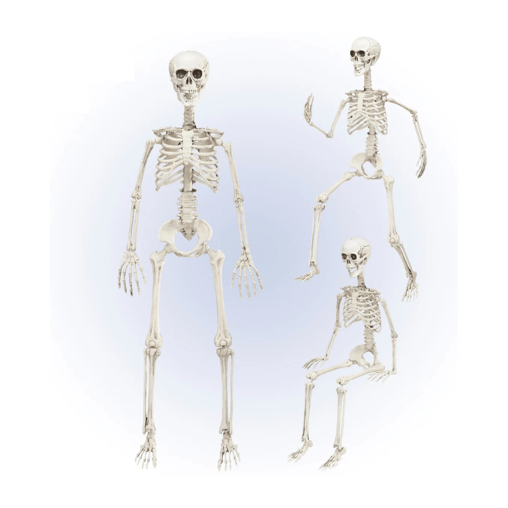 alpha-55-squelette-articule-90-cm-decoration-halloween-1261432732.png Squelette Articulé 90 cm – Décoration Halloween – Image 1