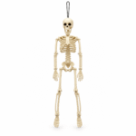 Squelette Structure 40 cm – Décoration Halloween
